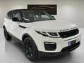 Land Rover Range Rover Evoque 2.0Td4 150cv 4x4 Auto SE Weiß - thumbnail 4