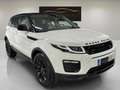Land Rover Range Rover Evoque 2.0Td4 150cv 4x4 Auto SE Weiß - thumbnail 3