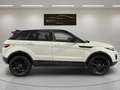 Land Rover Range Rover Evoque 2.0Td4 150cv 4x4 Auto SE Weiß - thumbnail 4