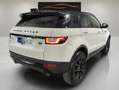 Land Rover Range Rover Evoque 2.0Td4 150cv 4x4 Auto SE Weiß - thumbnail 7
