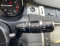 Land Rover Range Rover Evoque 2.0Td4 150cv 4x4 Auto SE Bianco - thumbnail 15