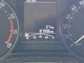 Skoda Fabia 1.0 MPI Cool Plus/Klima/Sitzh/Bluetooth Gris - thumbnail 18