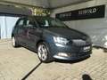 Skoda Fabia 1.0 MPI Cool Plus/Klima/Sitzh/Bluetooth Gris - thumbnail 2