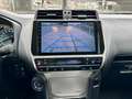Toyota Land Cruiser Prado Weiß - thumbnail 12
