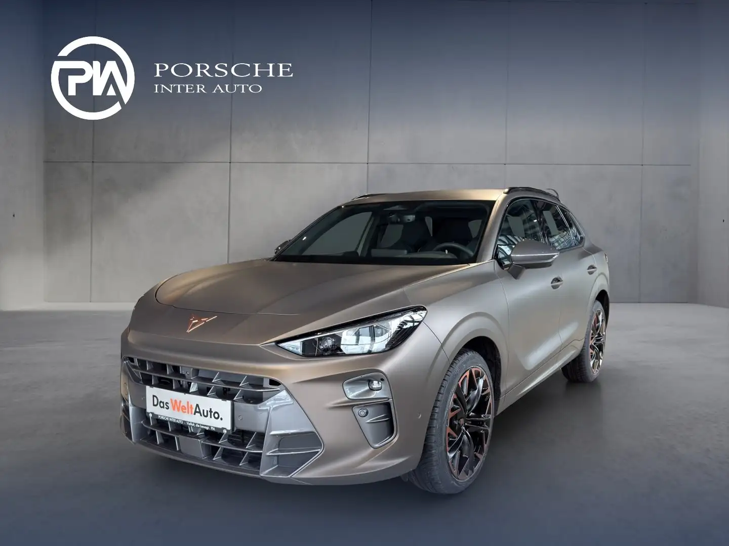 CUPRA Terramar 2.0 TSI 204 PS DSG 4Drive Grau - 1