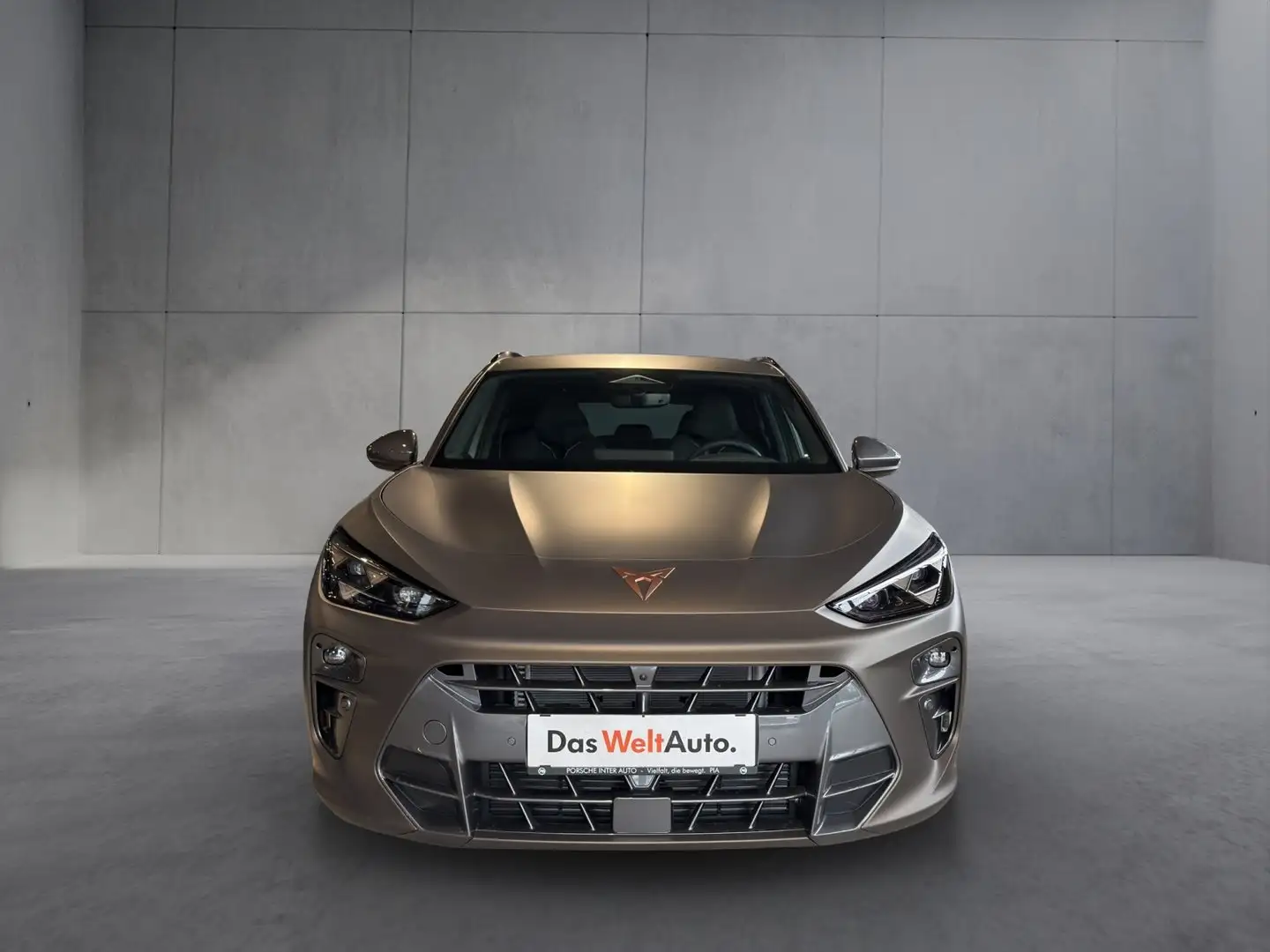 CUPRA Terramar 2.0 TSI 204 PS DSG 4Drive Grau - 2