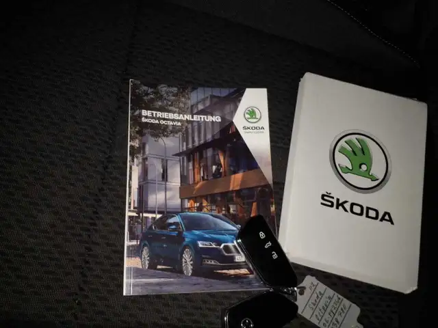 Skoda Octavia view 11