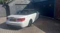 BMW 325 3-serie Cabrio 325i High Executive, Automaat,Cruis Wit - thumbnail 3