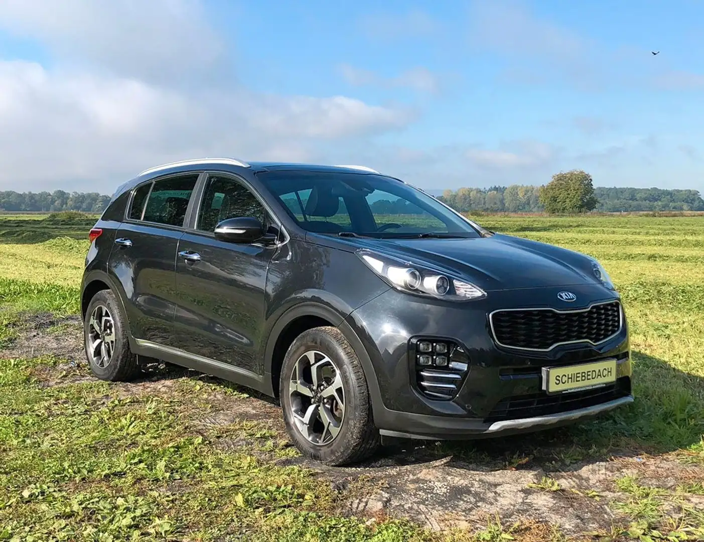 Kia Sportage / GT LINE / PANO / LEDER / CARPLAY Schwarz - 2