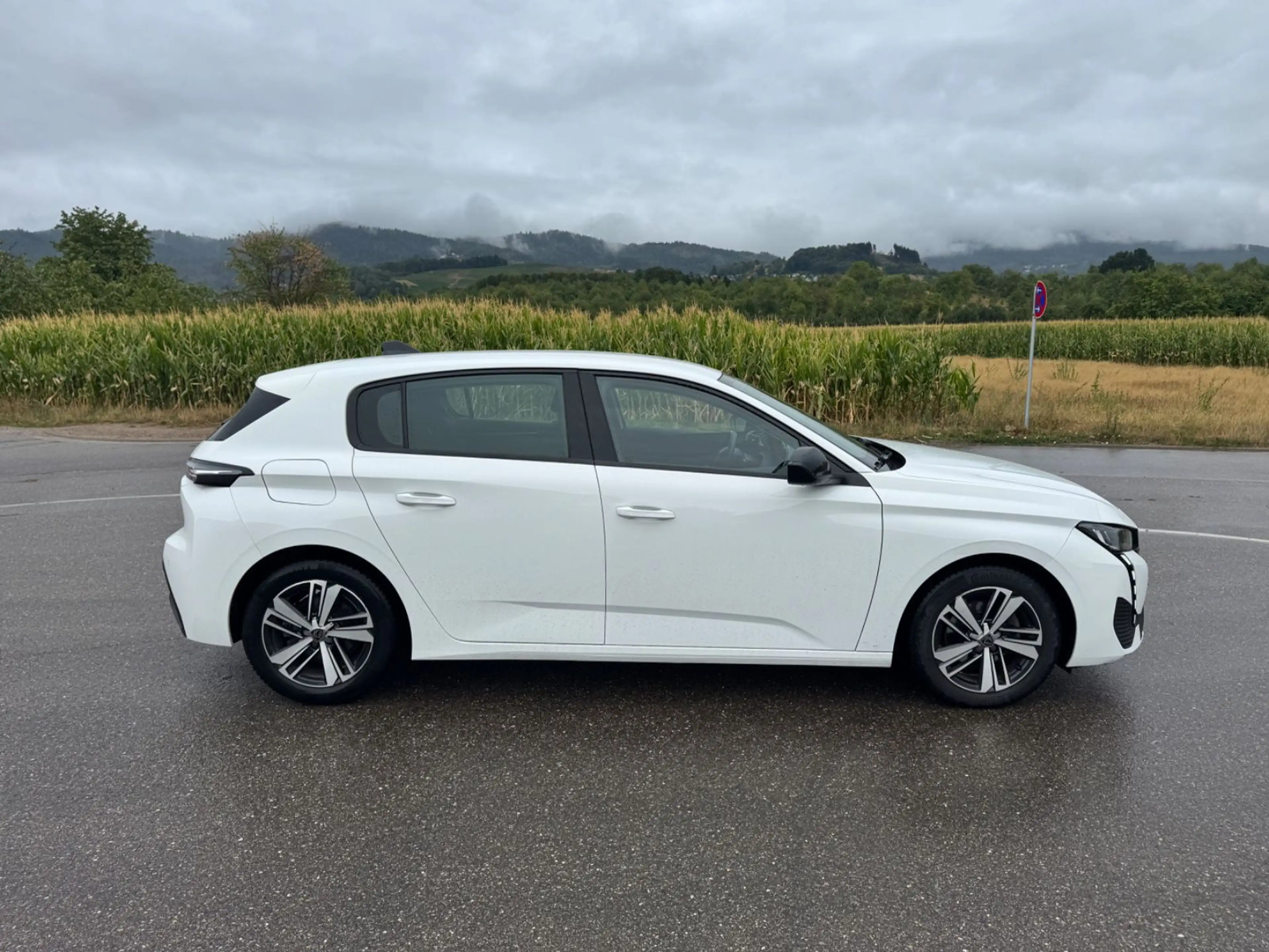 Peugeot 308 Active Pack*PDC*NAVI*AUTOMATIK*LKW — photo 6