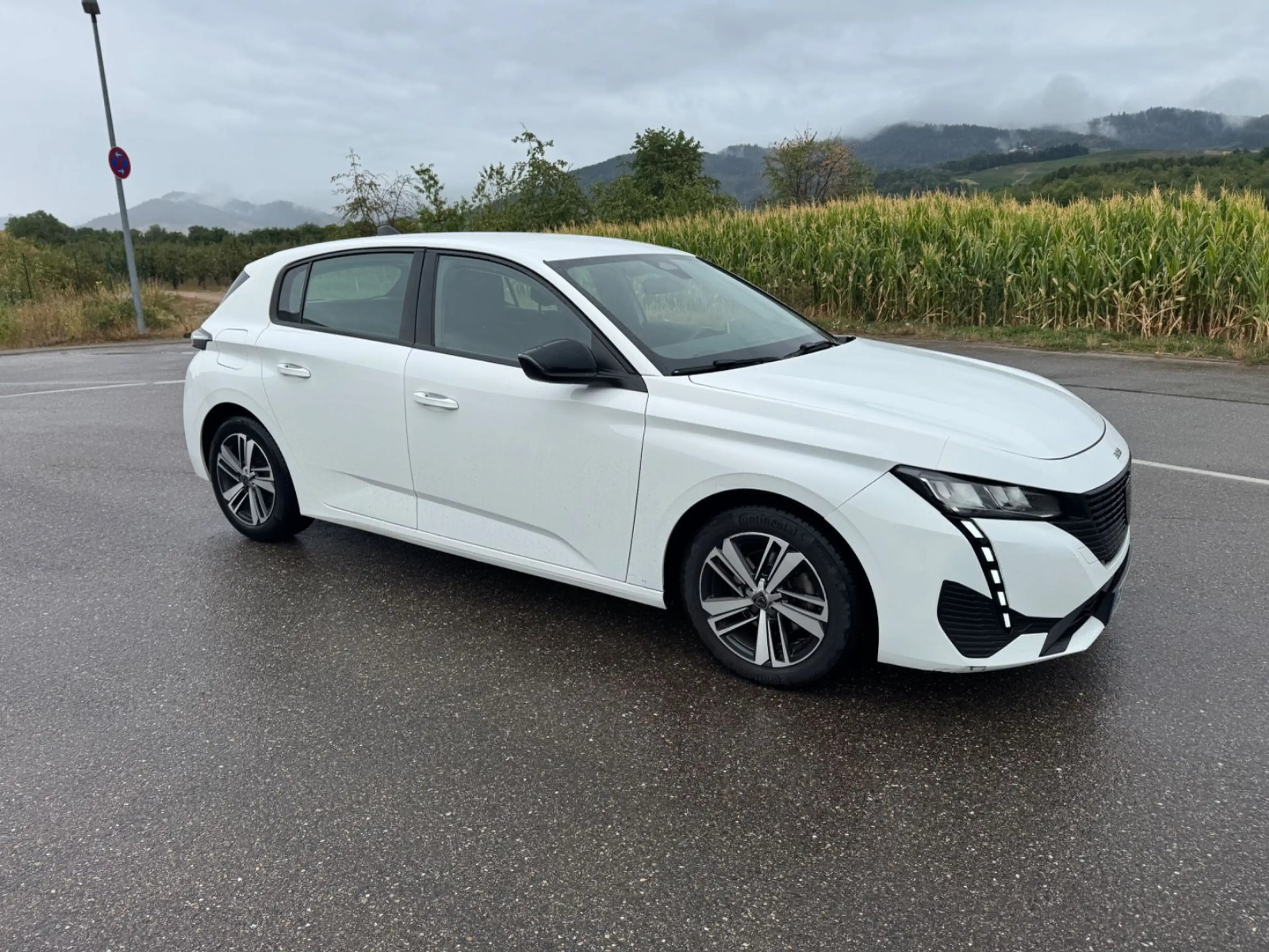 Peugeot 308 Active Pack*PDC*NAVI*AUTOMATIK*LKW — photo 7