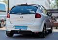 SEAT Altea 4You Klimaautoma Alu 8Räder*bester Zustand Weiß - thumbnail 9