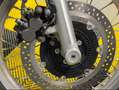 Kawasaki W 800 Rouge - thumbnail 13
