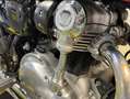 Kawasaki W 800 Rouge - thumbnail 7