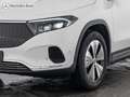 Mercedes-Benz EQA 4M Progressive Rückam+Totwink.+MBUX+LED Blanco - thumbnail 2
