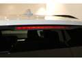 Volvo XC40 B3 B Plus Dark Business-Paket Frontscheibenheizung Grau - thumbnail 17