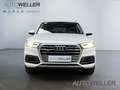 Audi Q5 45 TFSI quattro S tronic sport *AHK*LED*SHZ* White - thumbnail 5