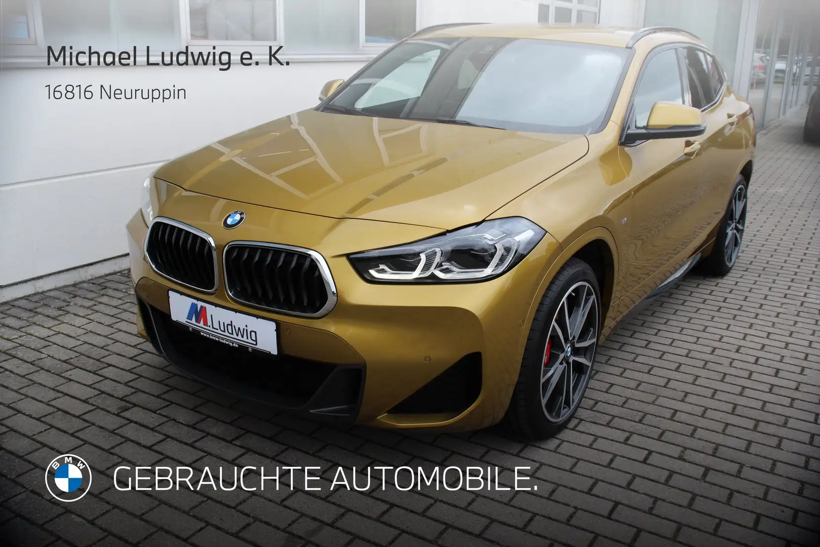 BMW X2 xDrive20d A M Sportpaket Head-Up HK HiFi DAB Beige - 1