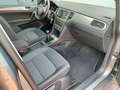 Volkswagen Golf Golf Sportsvan 1.6 tdi Comfortline Business 115cv Grau - thumbnail 20