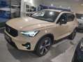 Volvo XC40 B3 Geartr. Plus Dark Gold - thumbnail 14