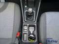 Ford Tourneo Connect Grand  2.0 EcoBlue 102 CV Titanium Gris - thumbnail 22