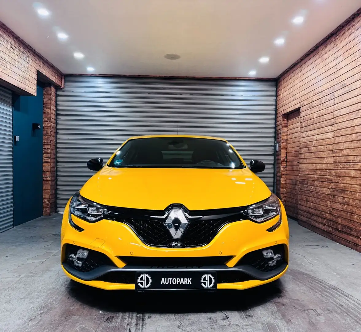 Renault Megane R.S. Trophy Automatik/HEAD-UP/KAMERA/NAVI - 2