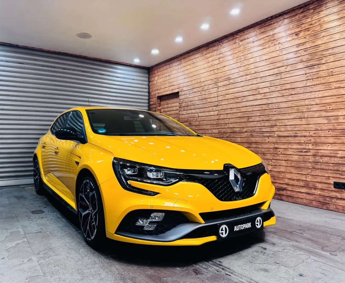 Renault Megane R.S. Trophy Automatik/HEAD-UP/KAMERA/NAVI - 1