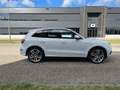Audi SQ5 3.0TFSI SQ5 q. Pro L Blanc - thumbnail 15