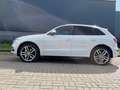Audi SQ5 3.0TFSI SQ5 q. Pro L Blanc - thumbnail 18