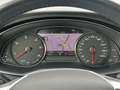 Audi A6 allroad Quattro 45 TDI AHK Standheizung Kamer Gris - thumbnail 14