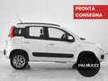 Fiat Panda Panda 0.9 TwinAir Turbo Natural Power Lounge - thumbnail 4