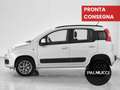 Fiat Panda Panda 0.9 TwinAir Turbo Natural Power Lounge - thumbnail 5
