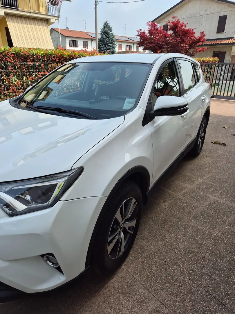 Toyota RAV 4 Rav4 IV 2016 Rav4 2.0 d-4d Business 2wd mt Bianco - 2