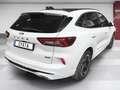 Ford Kuga 2.5 Duratec PHEV ST-Line X 4x2 Blanco - thumbnail 2