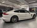 Porsche Panamera 4.0 Turbo S E-Hybrid Turbo S E-Hybrid Executive * Grau - thumbnail 20