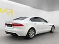 Jaguar XE Pure Weiß - thumbnail 5