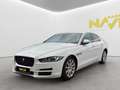 Jaguar XE Pure Weiß - thumbnail 1