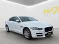 Jaguar XE Pure Weiß - thumbnail 3