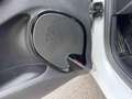 Renault Clio Sporter dCi 8V 90CV Energy Duel OK NEOPATENTATO Weiß - thumbnail 14
