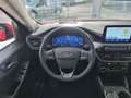Ford Kuga 2.5l Plug-In Hybrid 225 PS Titanium #Panora Rot - thumbnail 13