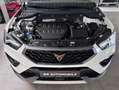 CUPRA Ateca VZ 4Drive*1.Hand*AHK*Voll LED*Alcantara*MwSt Weiß - thumbnail 19