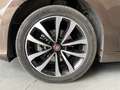 Fiat Tipo Tipo 1.6 Mjt 4 porte Opening Edition Brun - thumbnail 4