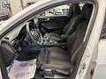 Audi A4 allroad A4 allroad 45 TFSI 265 CV S tronic Business Evolu Bianco - thumbnail 10