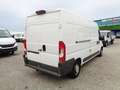Fiat Ducato FURGONE Lh2 Weiß - thumbnail 5