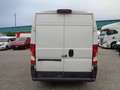 Fiat Ducato FURGONE Lh2 Weiß - thumbnail 6