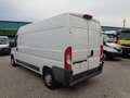 Fiat Ducato FURGONE Lh2 Weiß - thumbnail 7