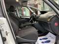 Citroen C4 Picasso C4 Picasso Bianco - thumbnail 13