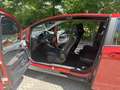 Ford B-Max B-MAX 1.0 EcoBoost Trend Rood - thumbnail 8