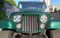 Jeep CJ-7 Renegade 5.0 v8 - thumbnail 4