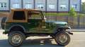 Jeep CJ-7 Renegade 5.0 v8 - thumbnail 5